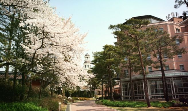 국내 호텔 특가 이벤트