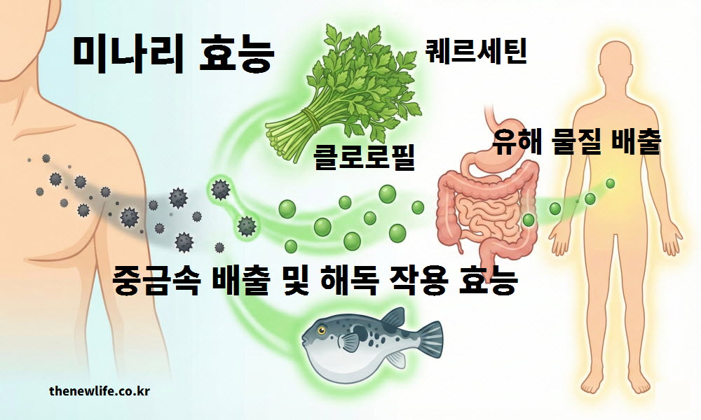 미나리 효능인 중금속 배출과 해독 작용을 설명하는 인공 이미지