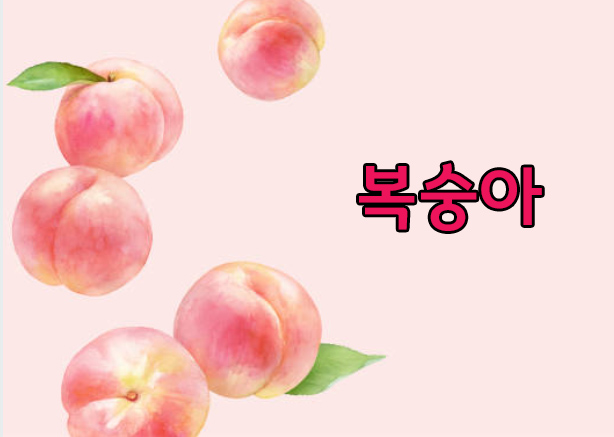 갱년기에좋은음식