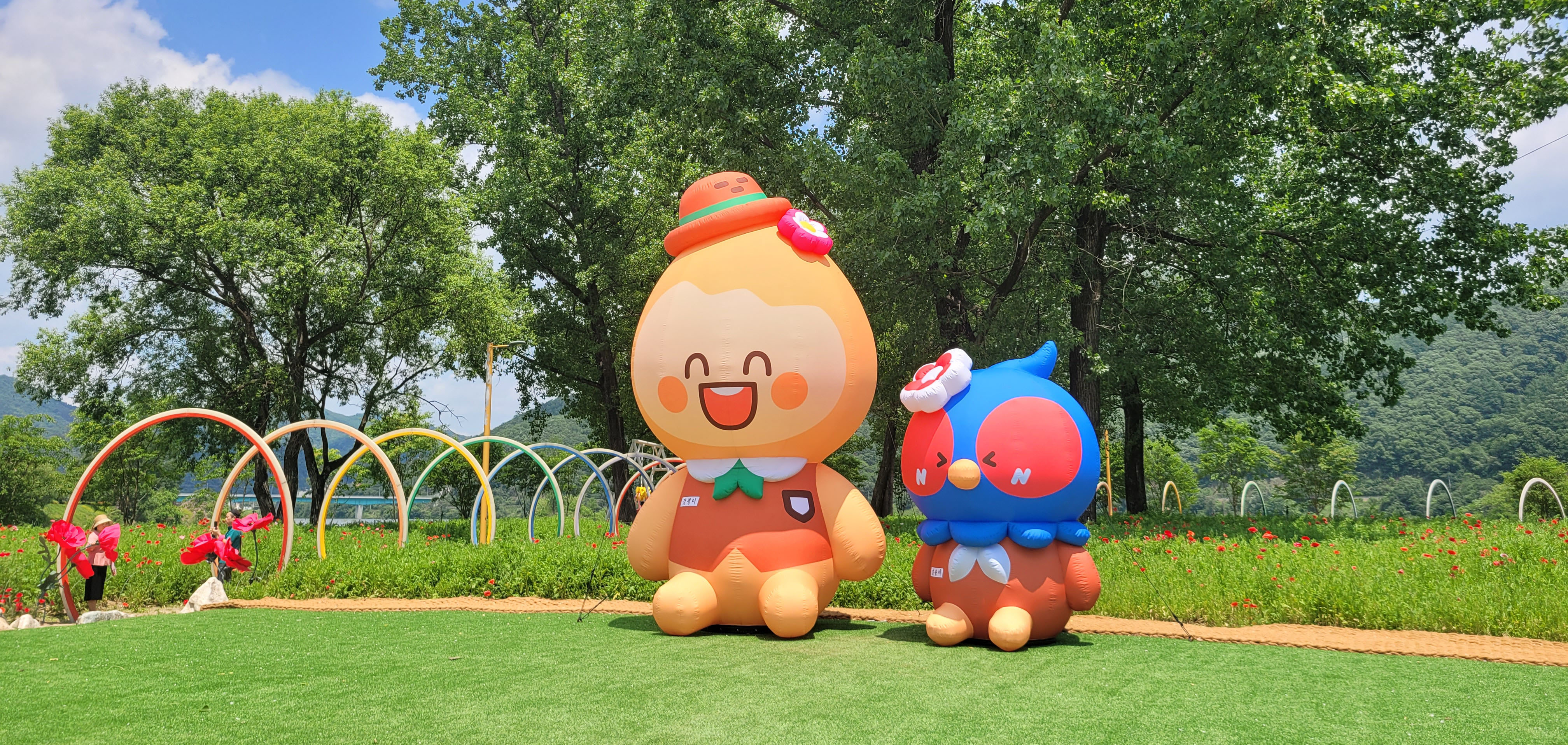 Colorful Garden 자라섬 꽃 페스타 살펴보기 5
