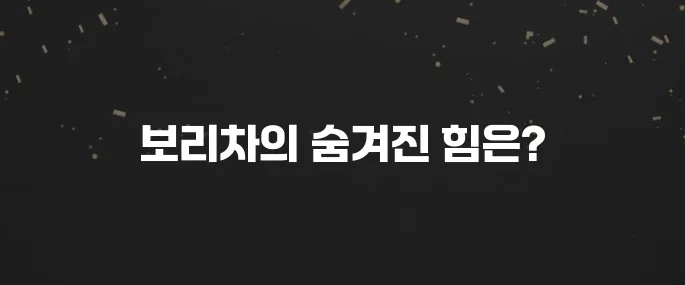 물 대신 마셔도 될까? 보리차 효능 5가지와 부작용
