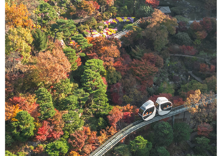 2025 화담숲 단풍시기 총정리｜모노레일 예약&middot;주차&middot;숙소&middot;맛집&middot;날씨