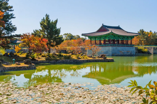 여권 갱신
