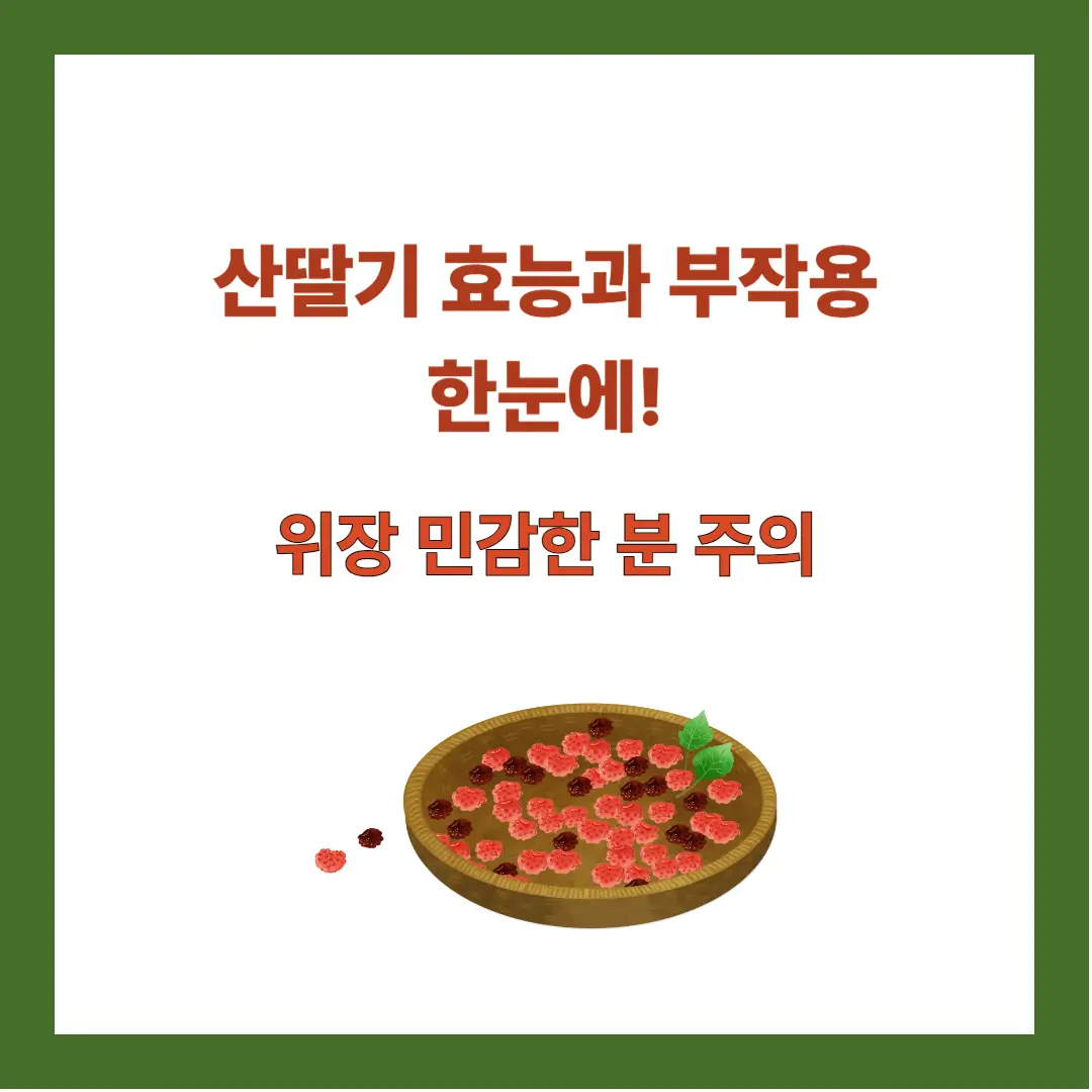 산딸기-효능