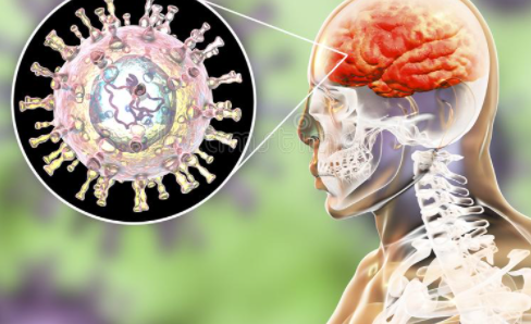 바이러스를-갖고있는-모습-일러스트레이션