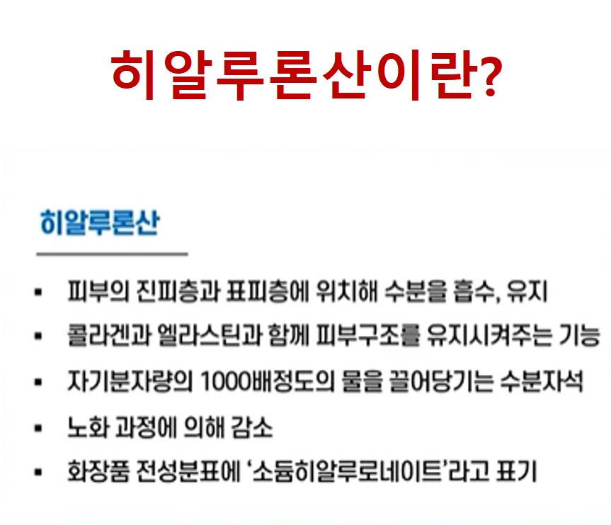 단백질