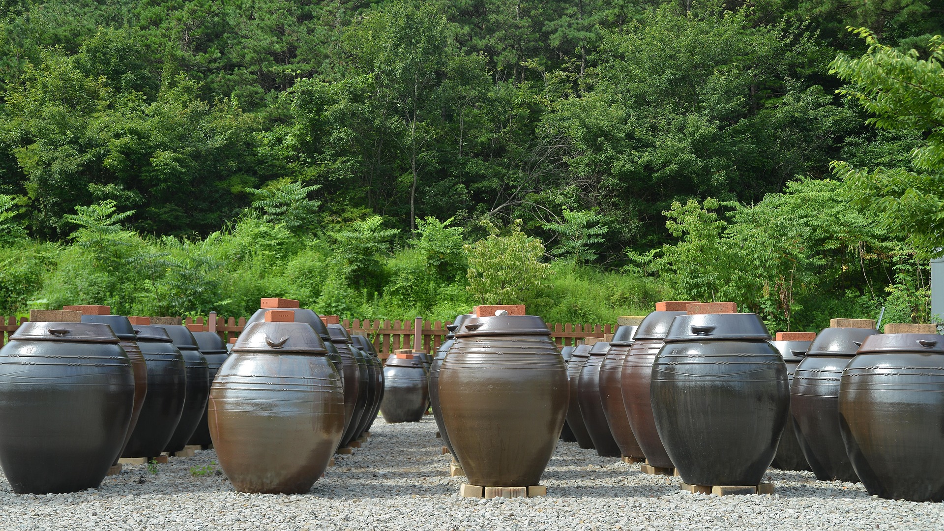 6시 내고향 고창 장만들기 체험 운월당 위치 및 예약 정보