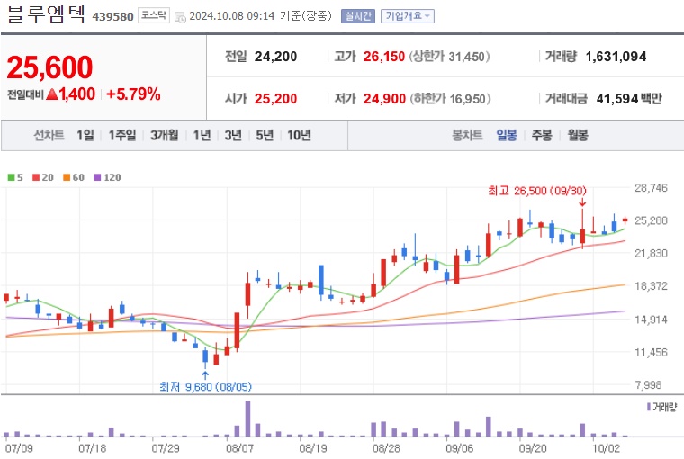 블루엠텍 주가 (1008)