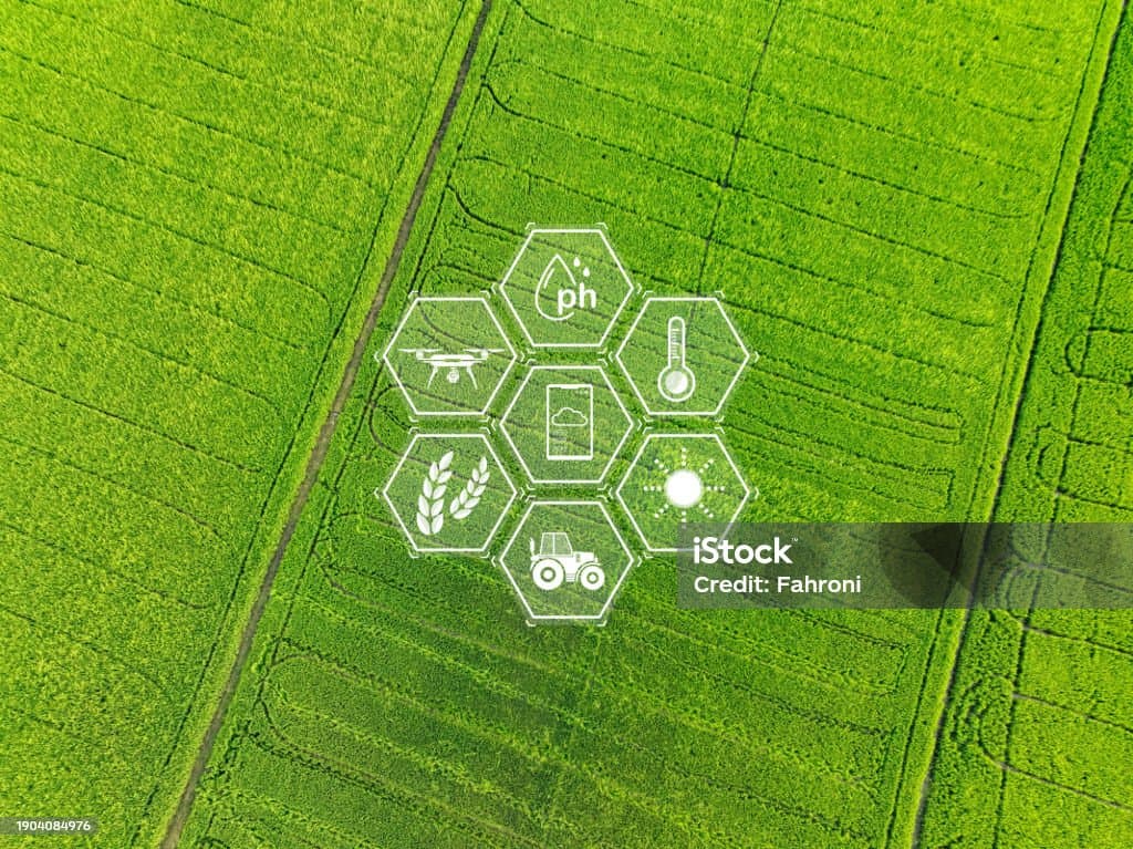 지속 가능한 스마트가드닝 – 친환경 자동화 시스템으로 탄소 발자국 줄이기