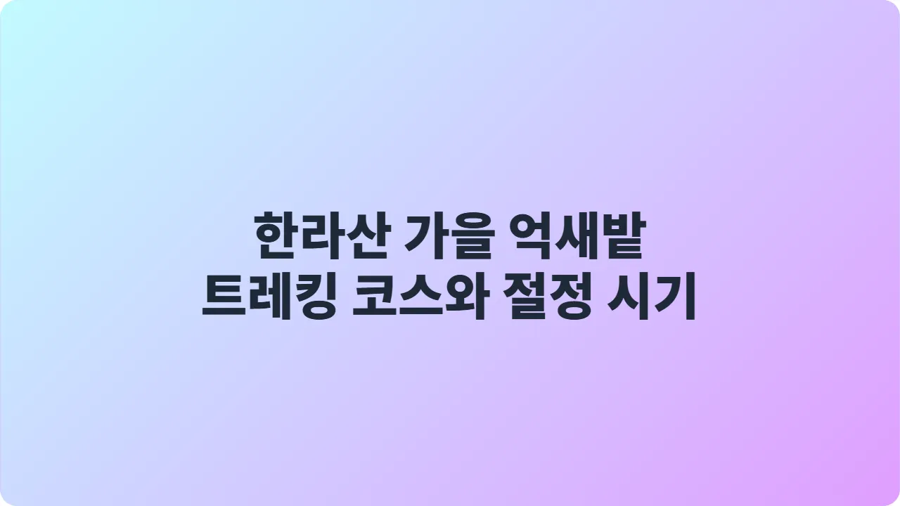 한라산 가을 억새밭 트레킹 코스와 절정 시기