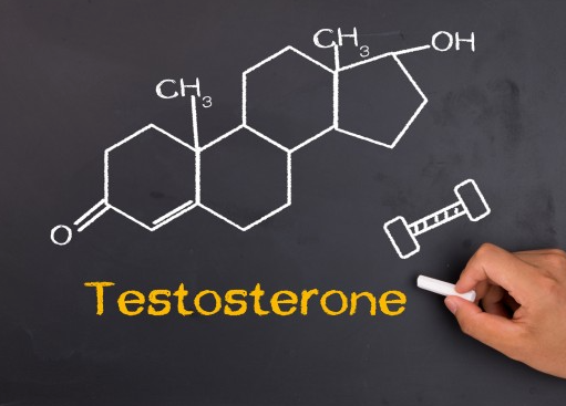 테스토스테론, 남성 호르몬, 남성 갱년기
