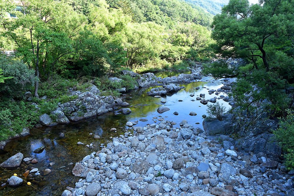 남원시 뱀사골 힐링야영장 소개