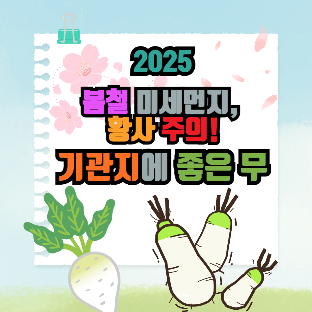 기관지에 좋은 무