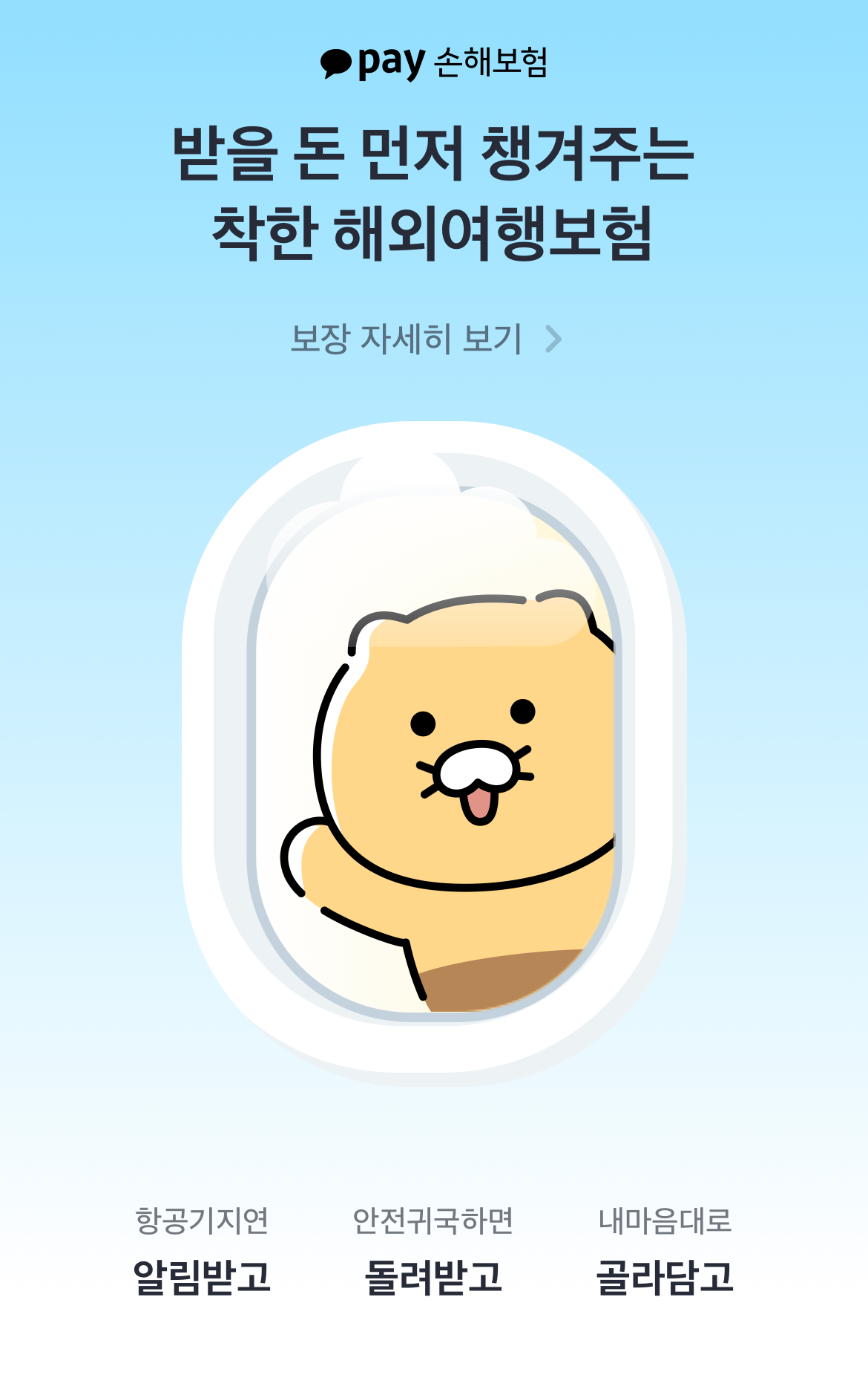 카카오페이 손해보험