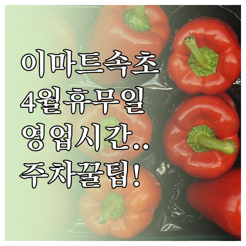 이마트 속초점 4월 운영 일정 휴무일..