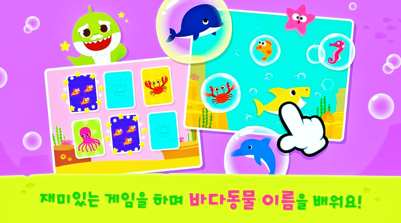 아기상어 1위