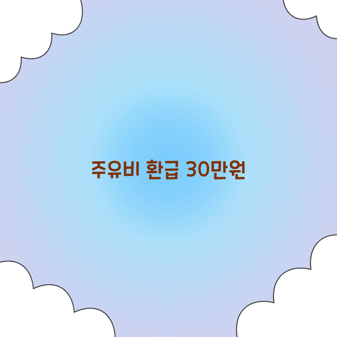 주유비 환급 30만원