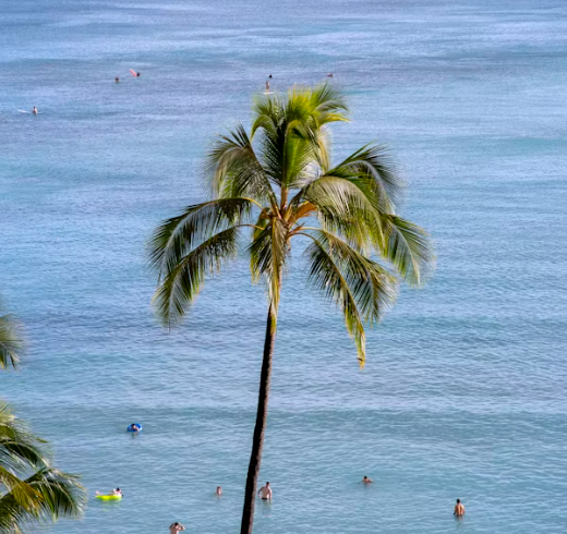 하와이 4박5일 여행 추천 &ndash; 와이키키 중심 일정