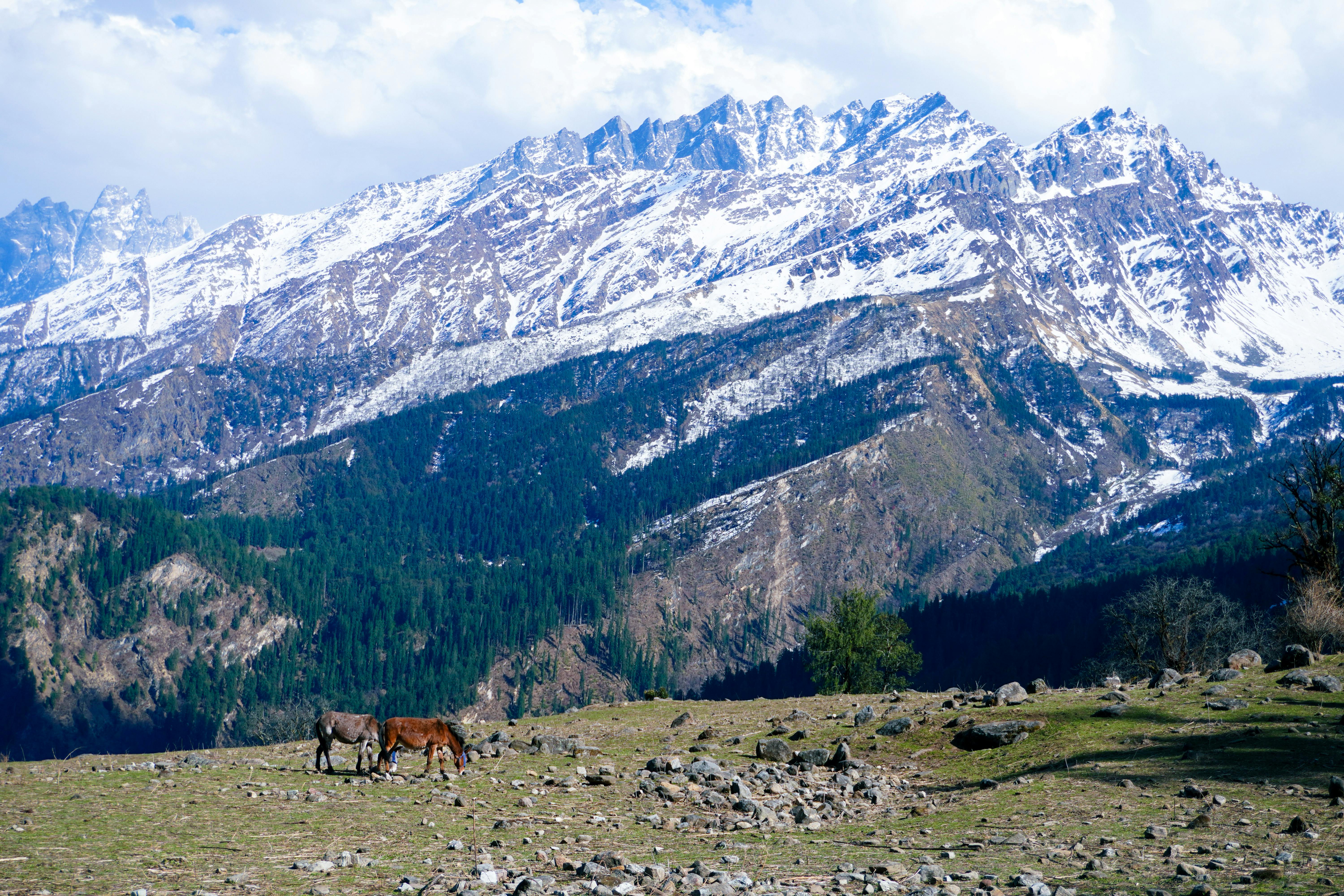 태어난김에세계여행