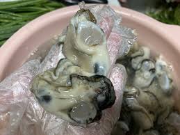 6시내고향 사천 굴구이 순애민박 위치 예약 꿀팁 대공개