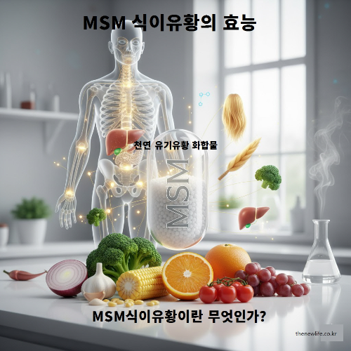 MSM이란 무엇인지 설명하는 이미지로, 인체의 뼈와 관절 구조가 투명하게 표시되어 있고, MSM 캡슐과 브로콜리·양파·옥수수·오렌지 등 MSM이 함유된 식품이 함께 놓여 있다.
