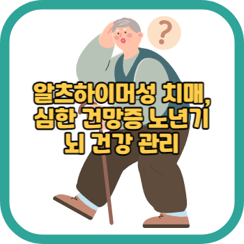 알츠하이머성 치매, 심한 건망증 노년기 뇌 건강 관리