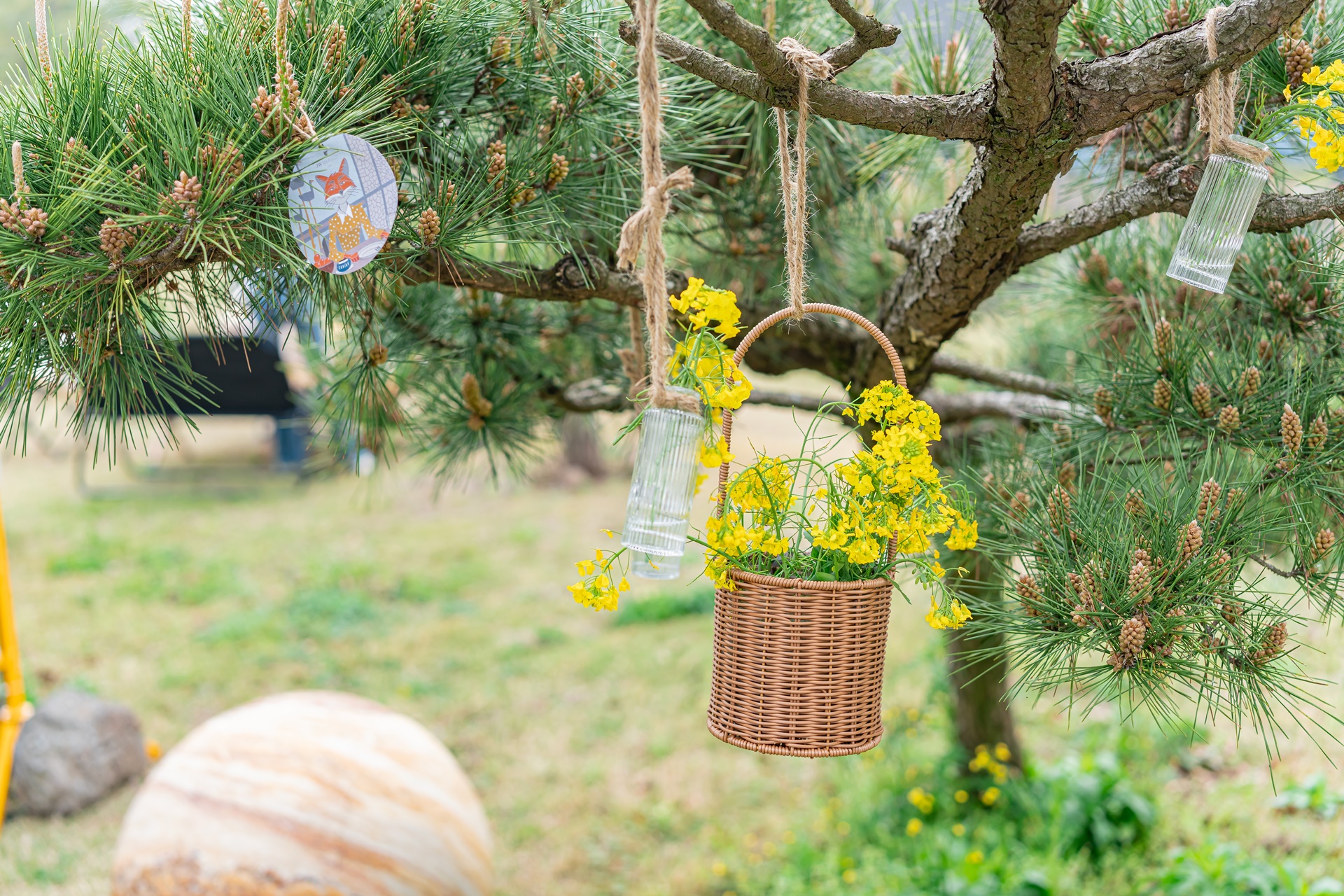 #JW가든 #JW메리어트제주 #댄싱두루미 #더플라잉호그 #아일랜드키친 #유채꽃 #제주사진 #제주여행 #제주유채꽃 #제주호텔