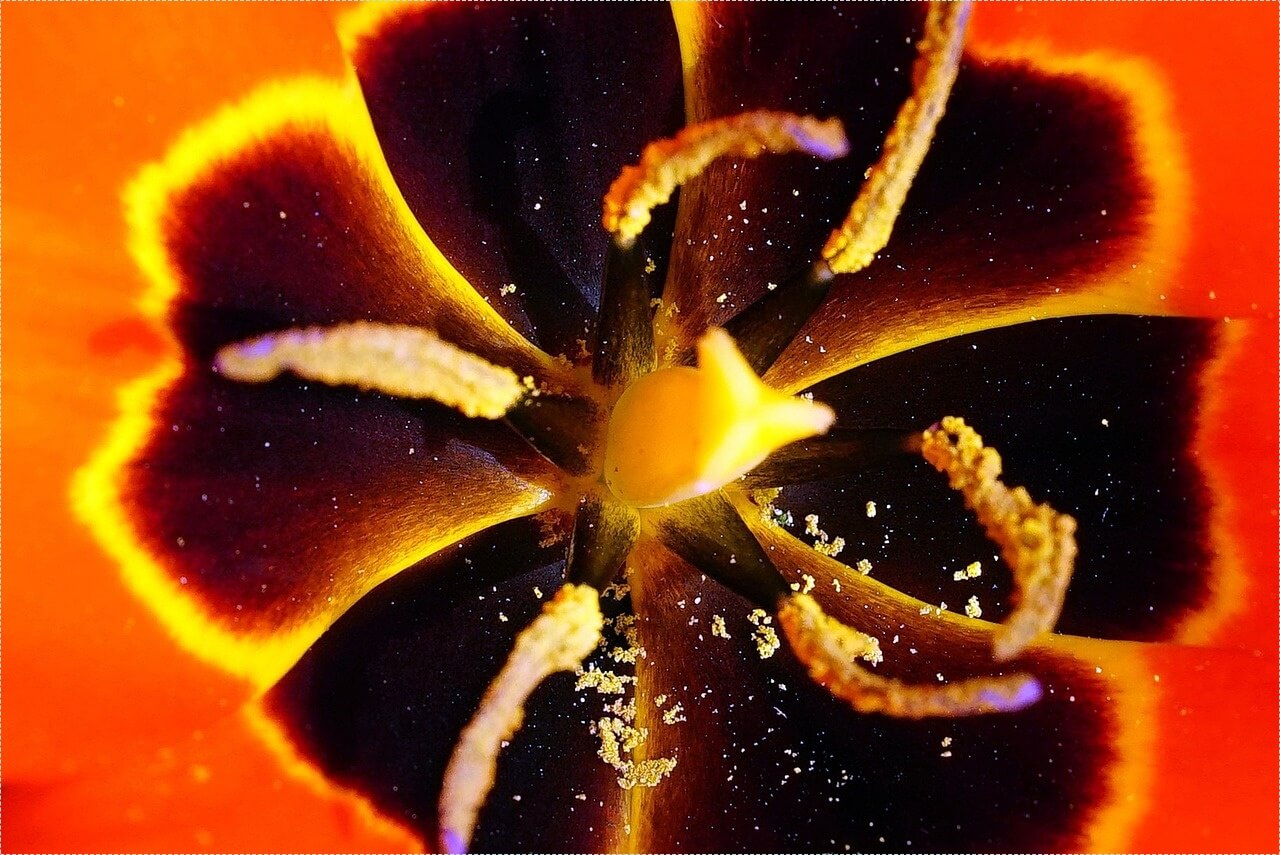 우리은행 정기예금 금리