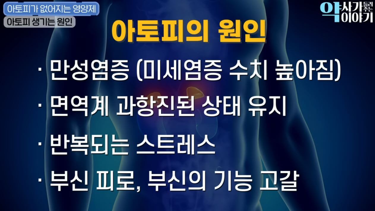아토피-원인