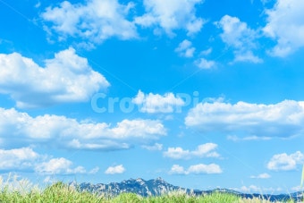 삼성 서비스센터 예약