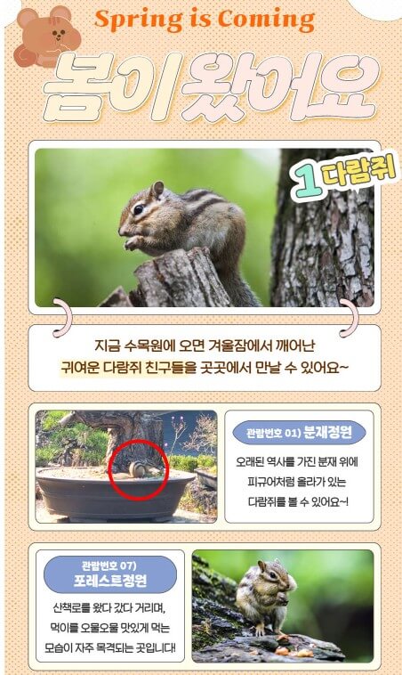 2025 봄꽃페스타: 아침고요수목원에서 만나는 봄의 향연!