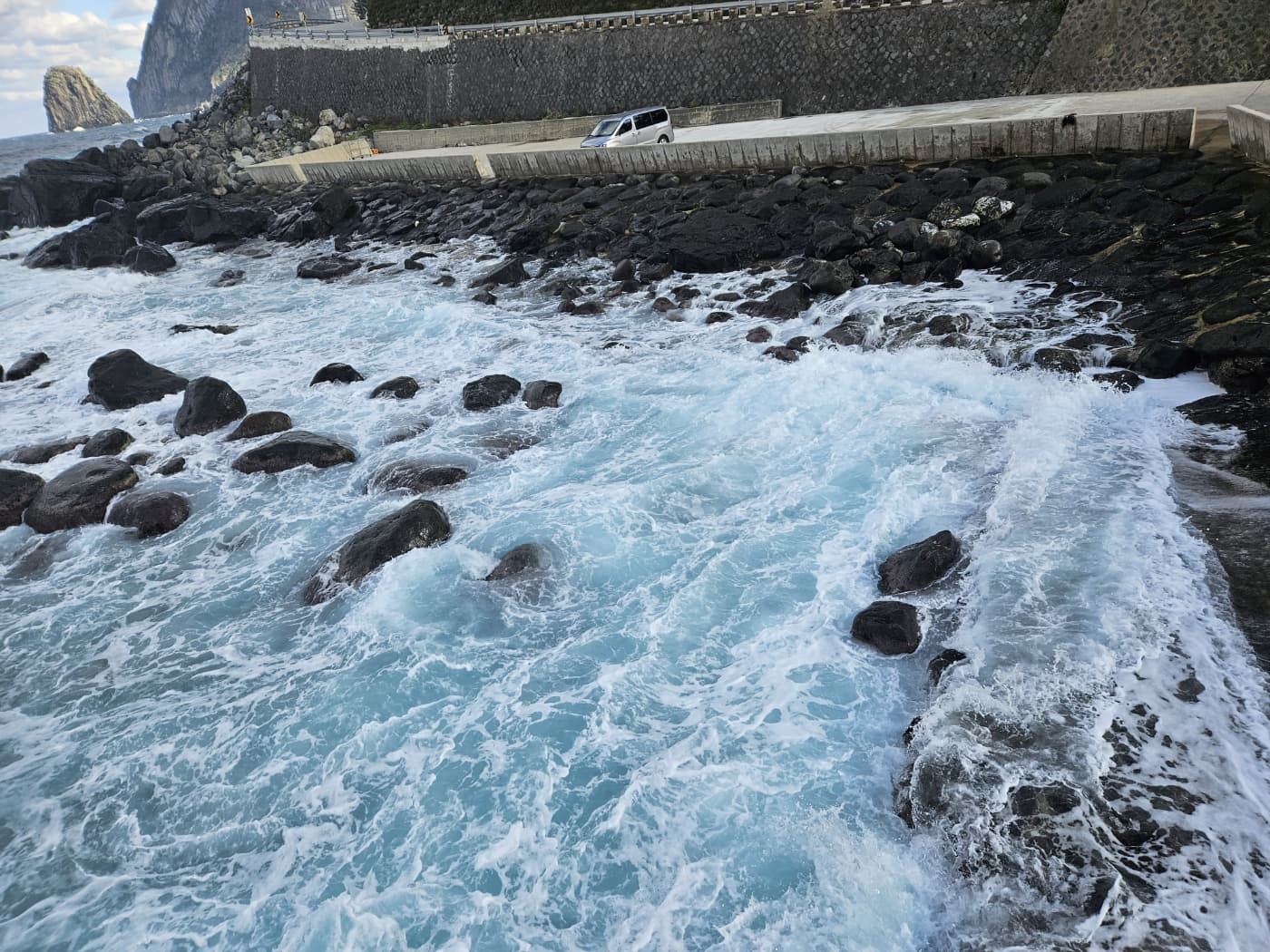 반려동물과 함께하는 명상
