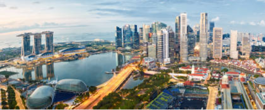 싱가포르 입국신고서 작성방법