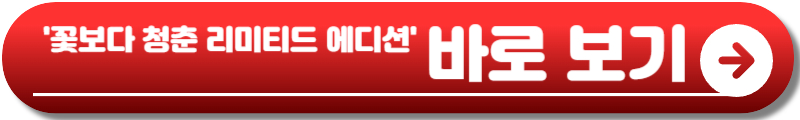 꽃보다 청춘 리미티드 에디션