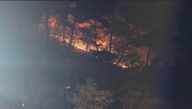 영월 산불발생: 무릉도원면 법흥리 야간 진화 상황 및 주민 대피 가이드 총정리