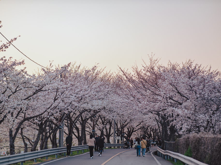 물금 황산공원