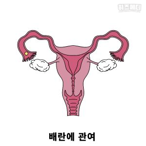폐경 증상
