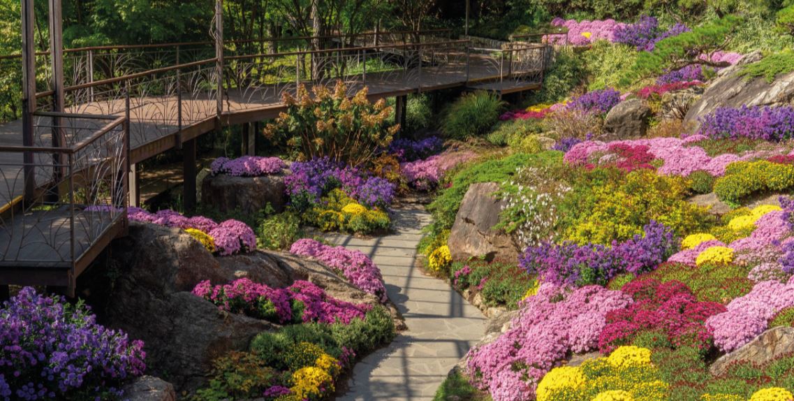 가을단풍명소 화담숲 모노레일 예약 요금 이용시간