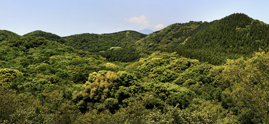 제주 거문오름 예약방법과 탐방 코스 소요시간 입장료 세계문화유산 가이드