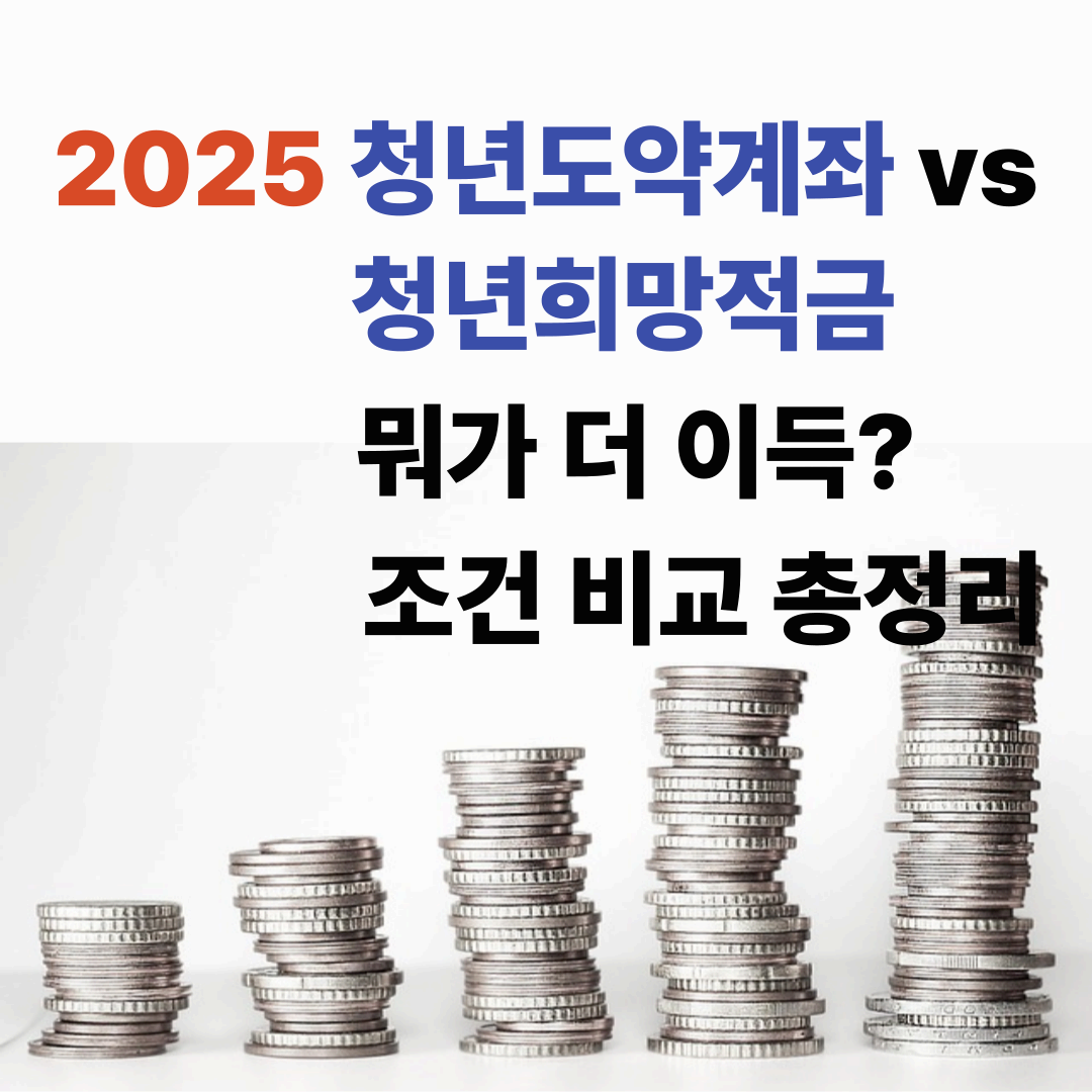 2025 청년도약계좌 vs 청년희망적금 비교