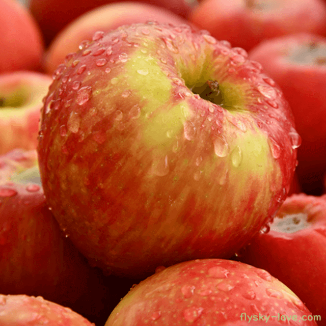 탈모에 효과적인 아누카 사과(Annurca apple)