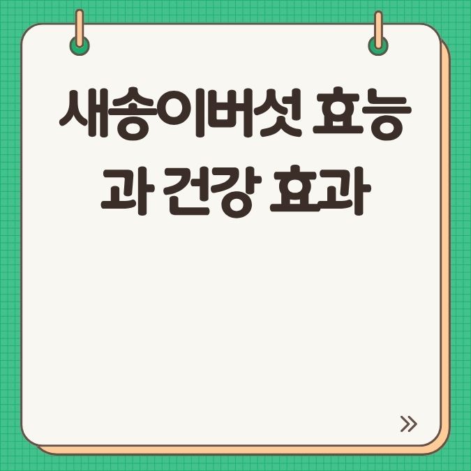 새송이버섯 효능과 건강 효과