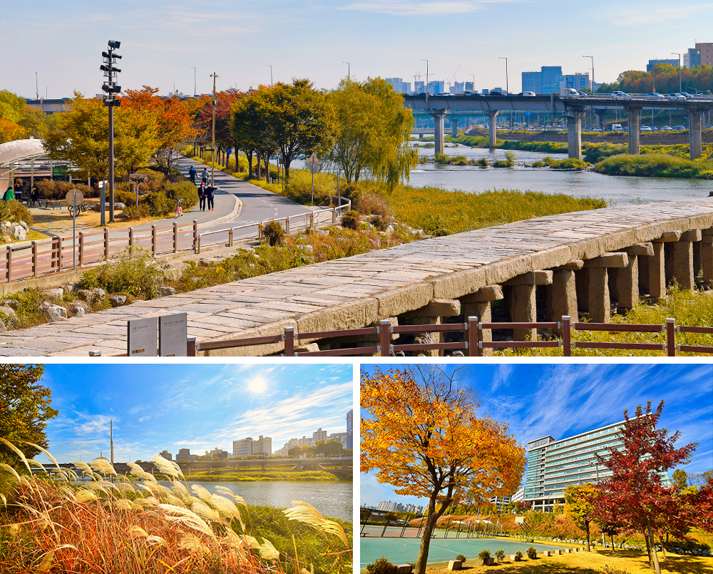 성동구 은행나무길, 살곶이길