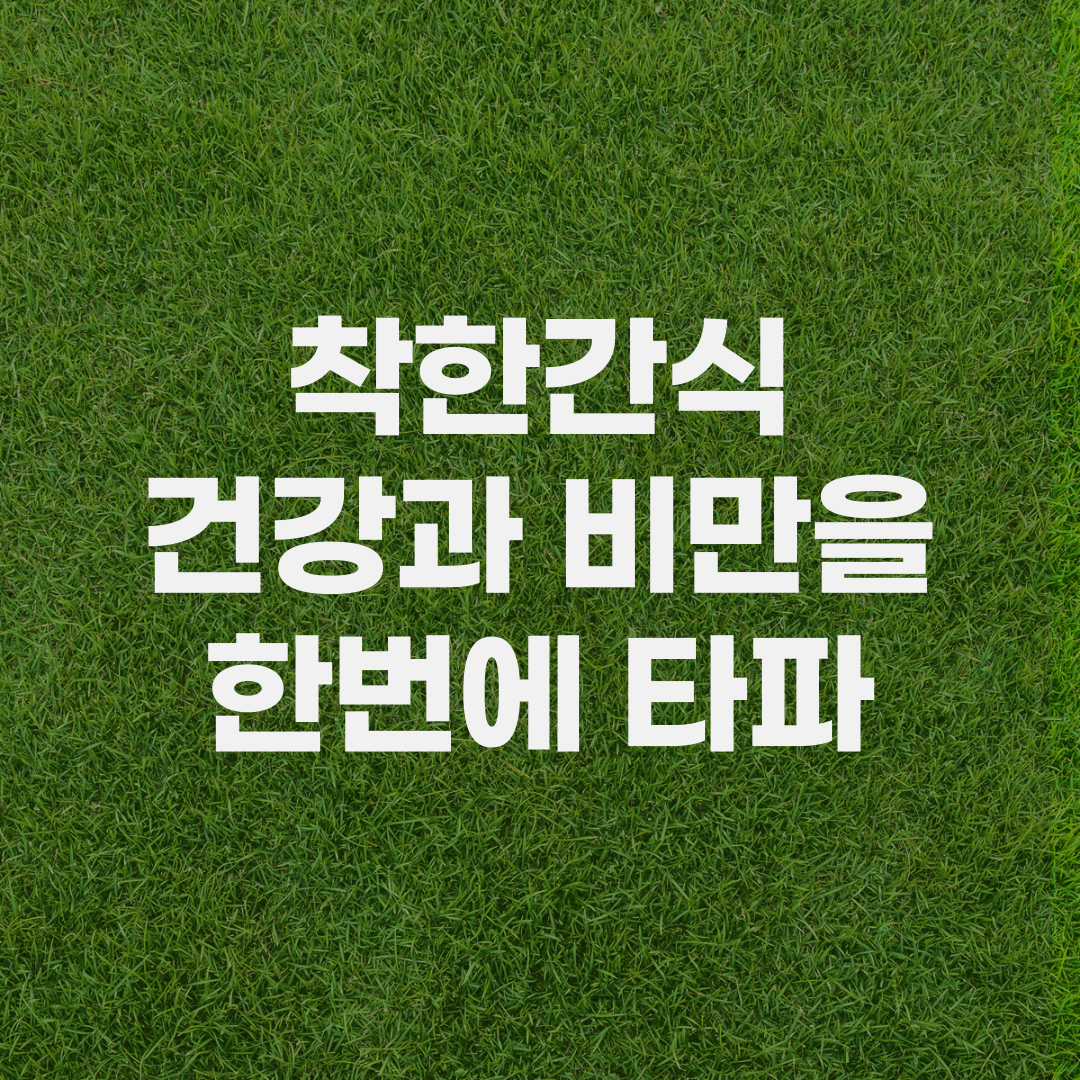 착한간식-건강과비만을 한번에 타파