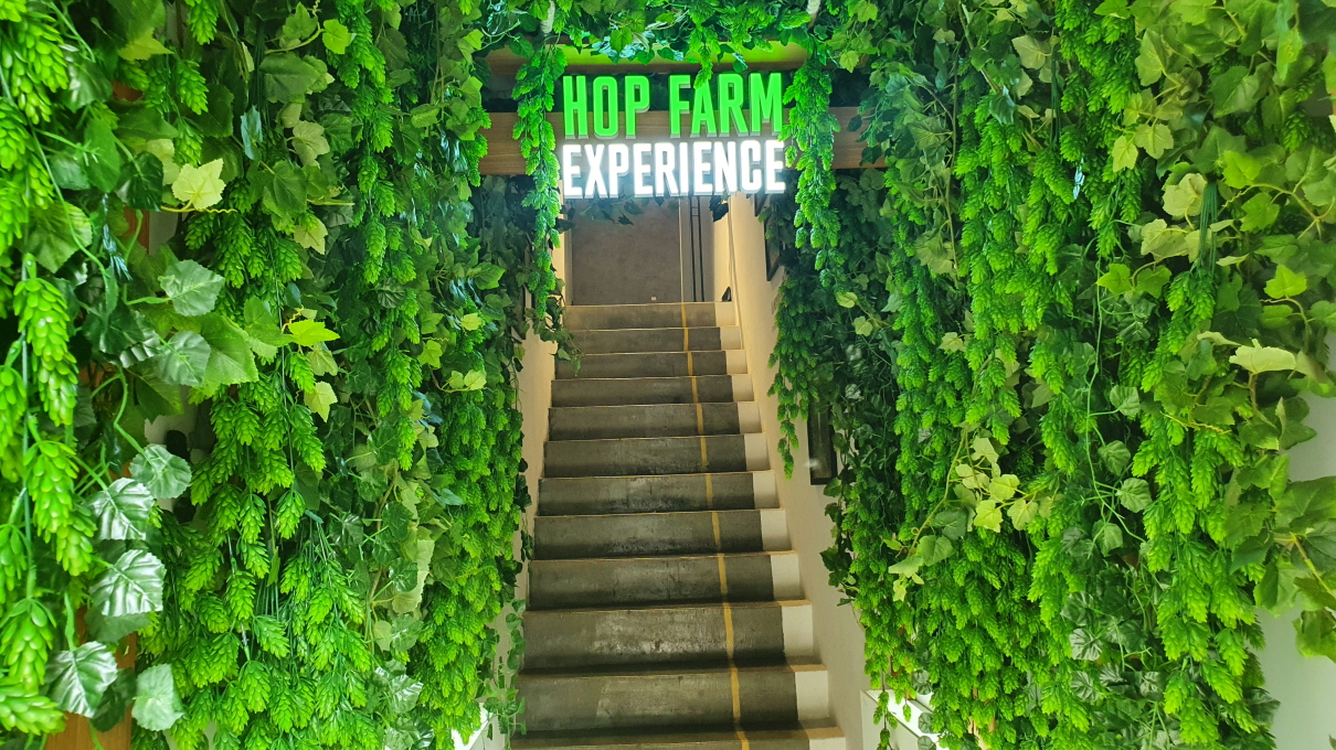 구스아일랜드-14