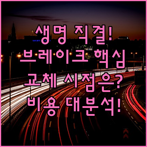 운전자 필수 브레이크 패드와 디스크 ..