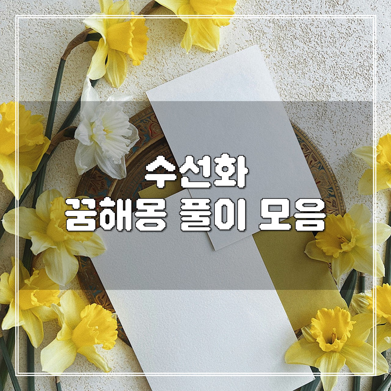 수선화 꿈, 꿈해몽 풀이 모음 썸네일