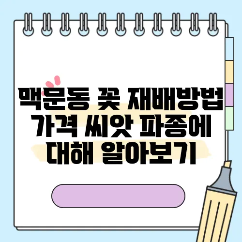 맥문동 꽃 재배방법 가격 씨앗 파종에 대해 알아보기