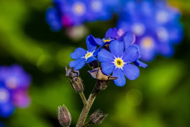 걱정말아요 그대 악보 합창 기타 가사 드럼 악보_3