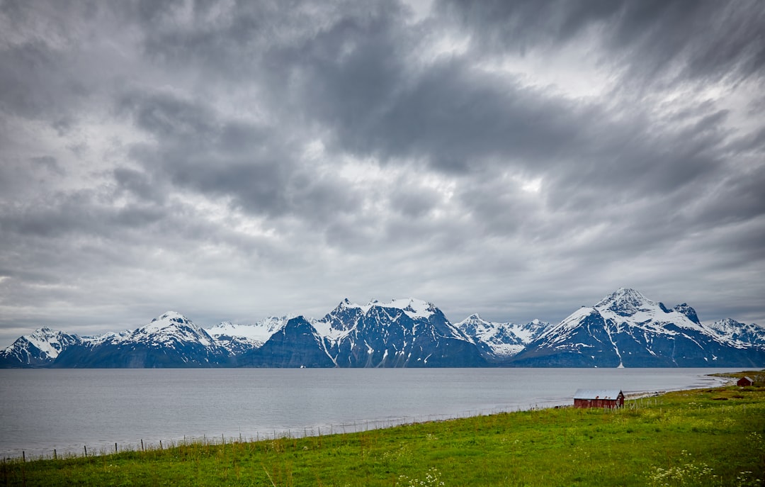 Nordic